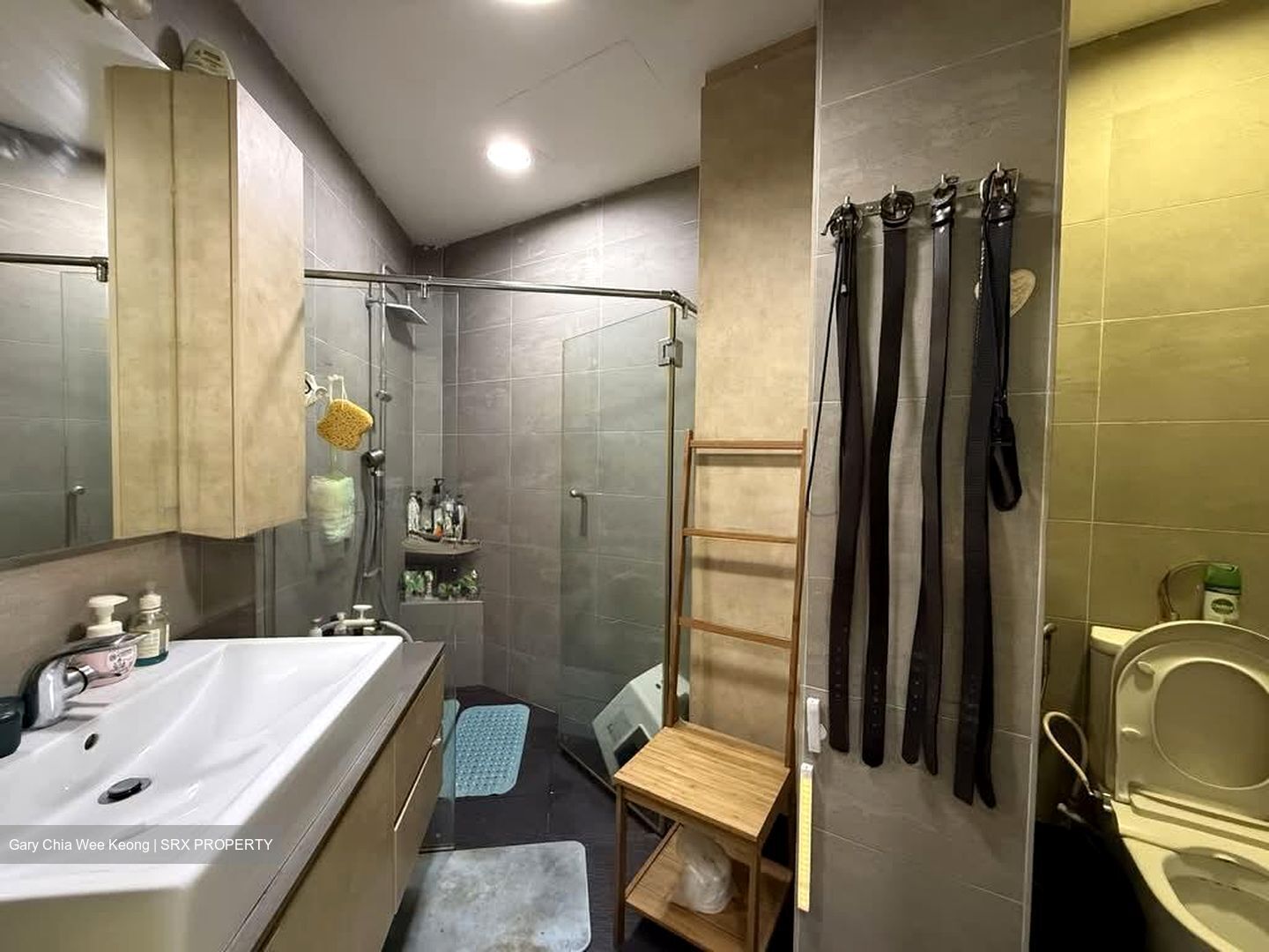 Southaven I (D21), Condominium #537106121